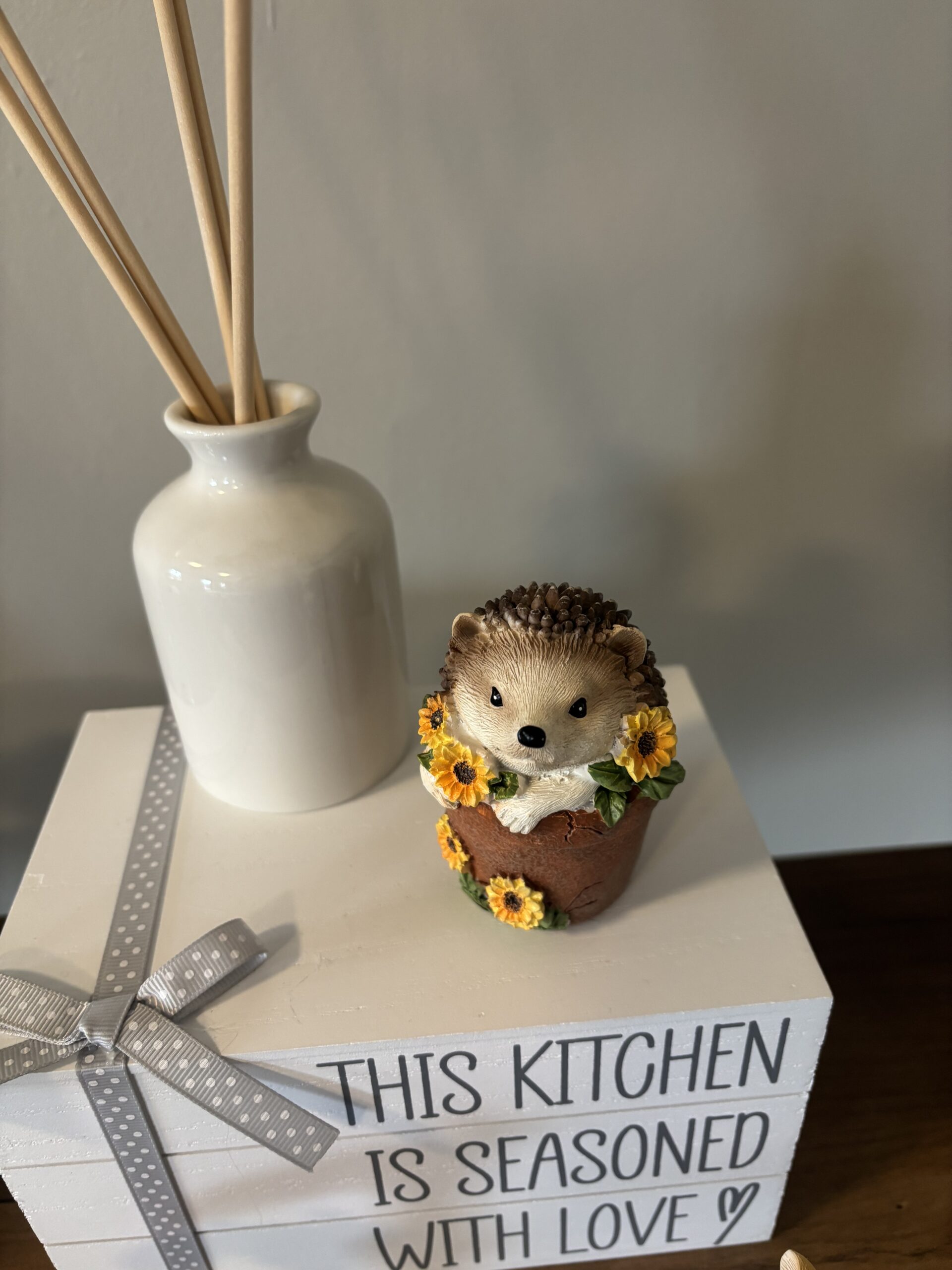 hedgehog in plant pot