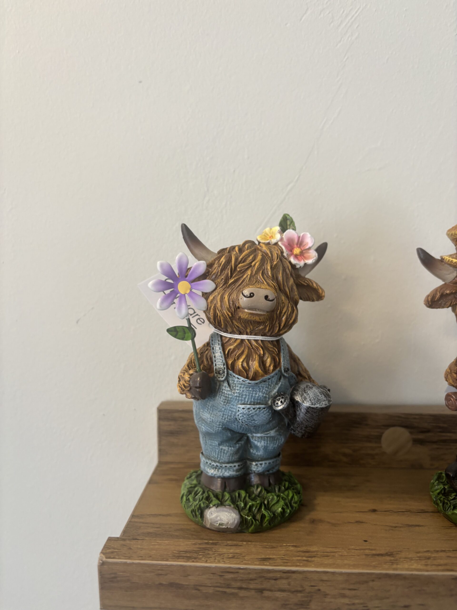 STANDING HIGHLAND COW WITH WATERING CAN
