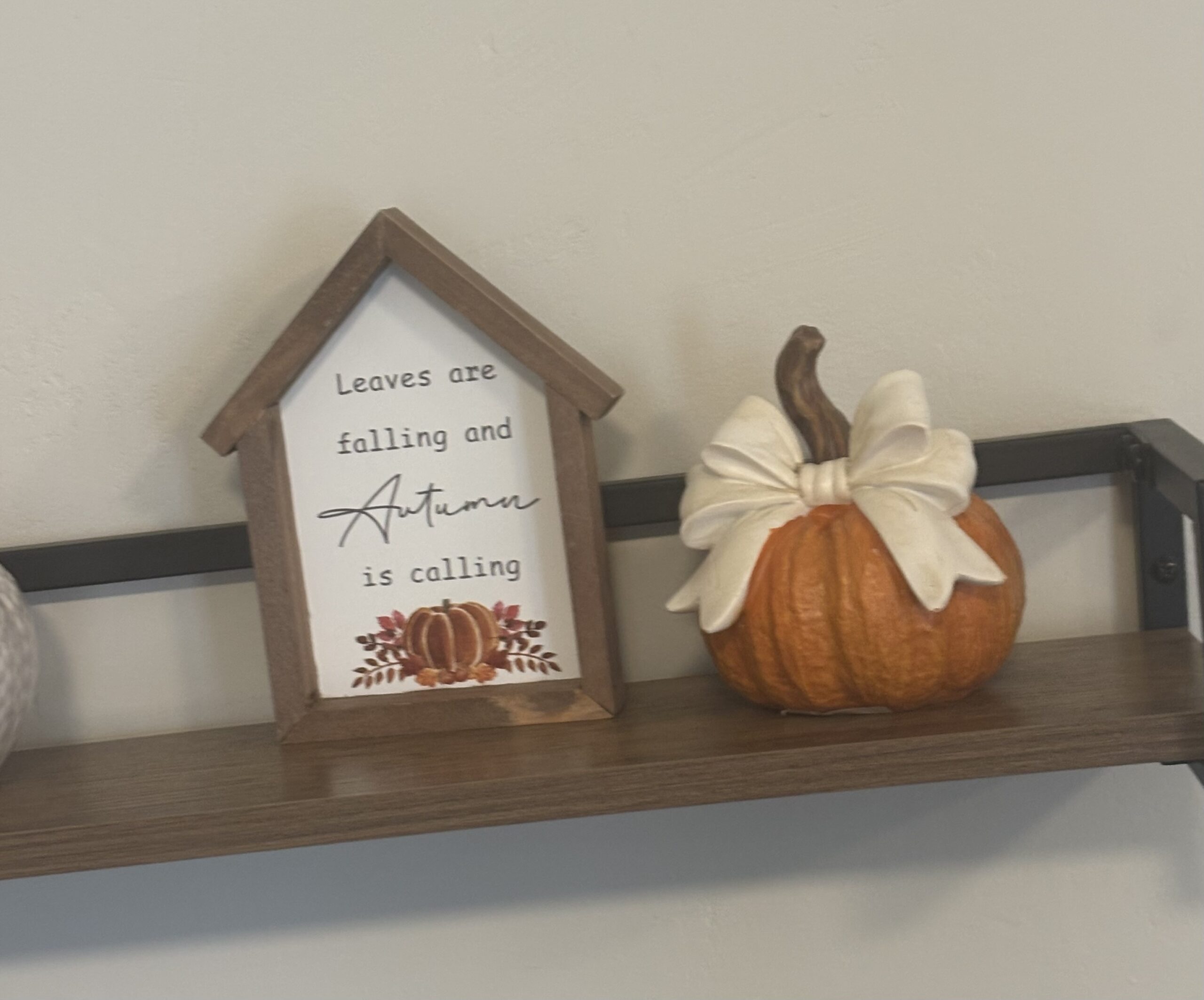 ORANGE PUMPKIN WITH BOW X 5
