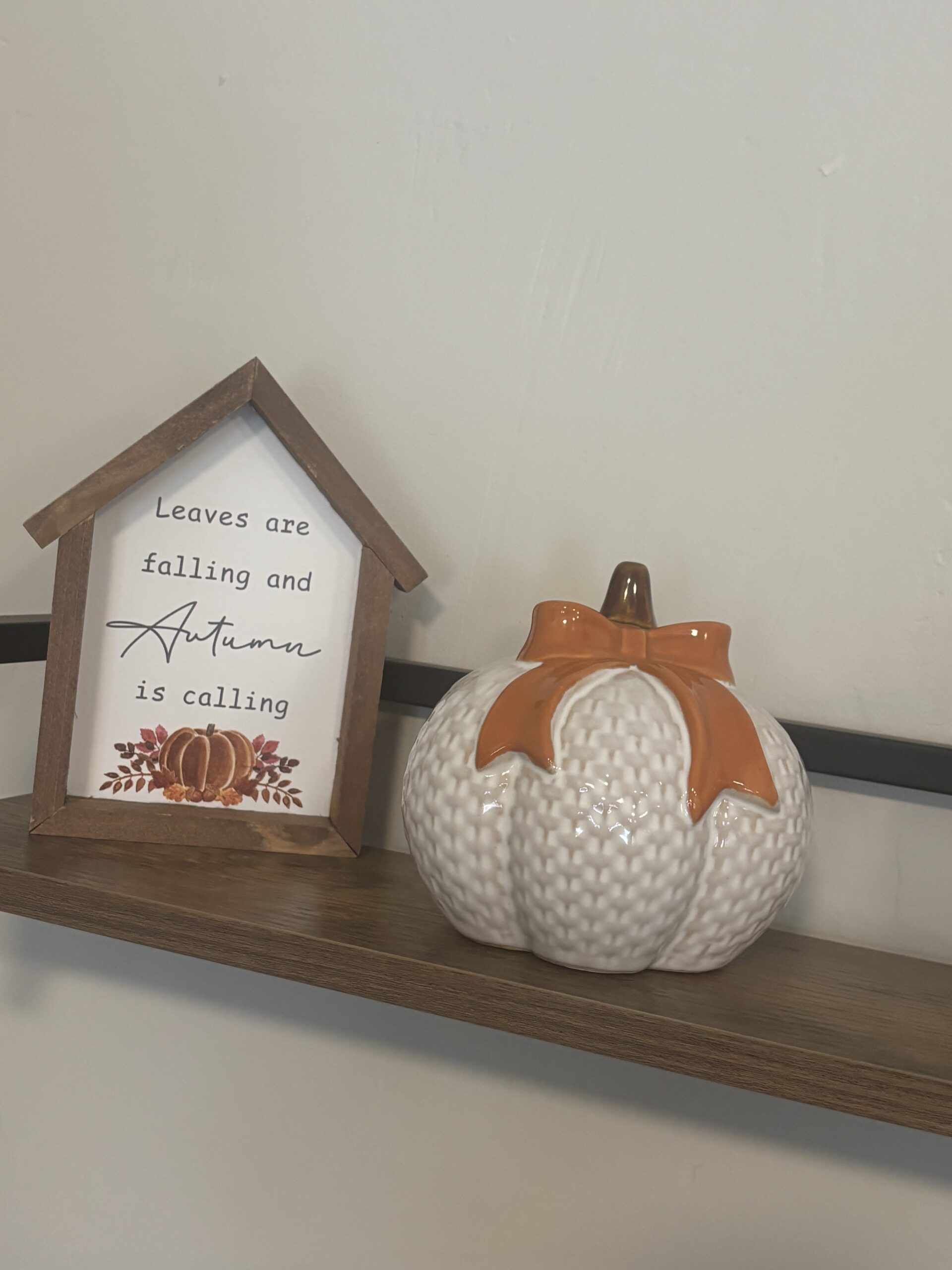 white pumpkin with orange bow x 2