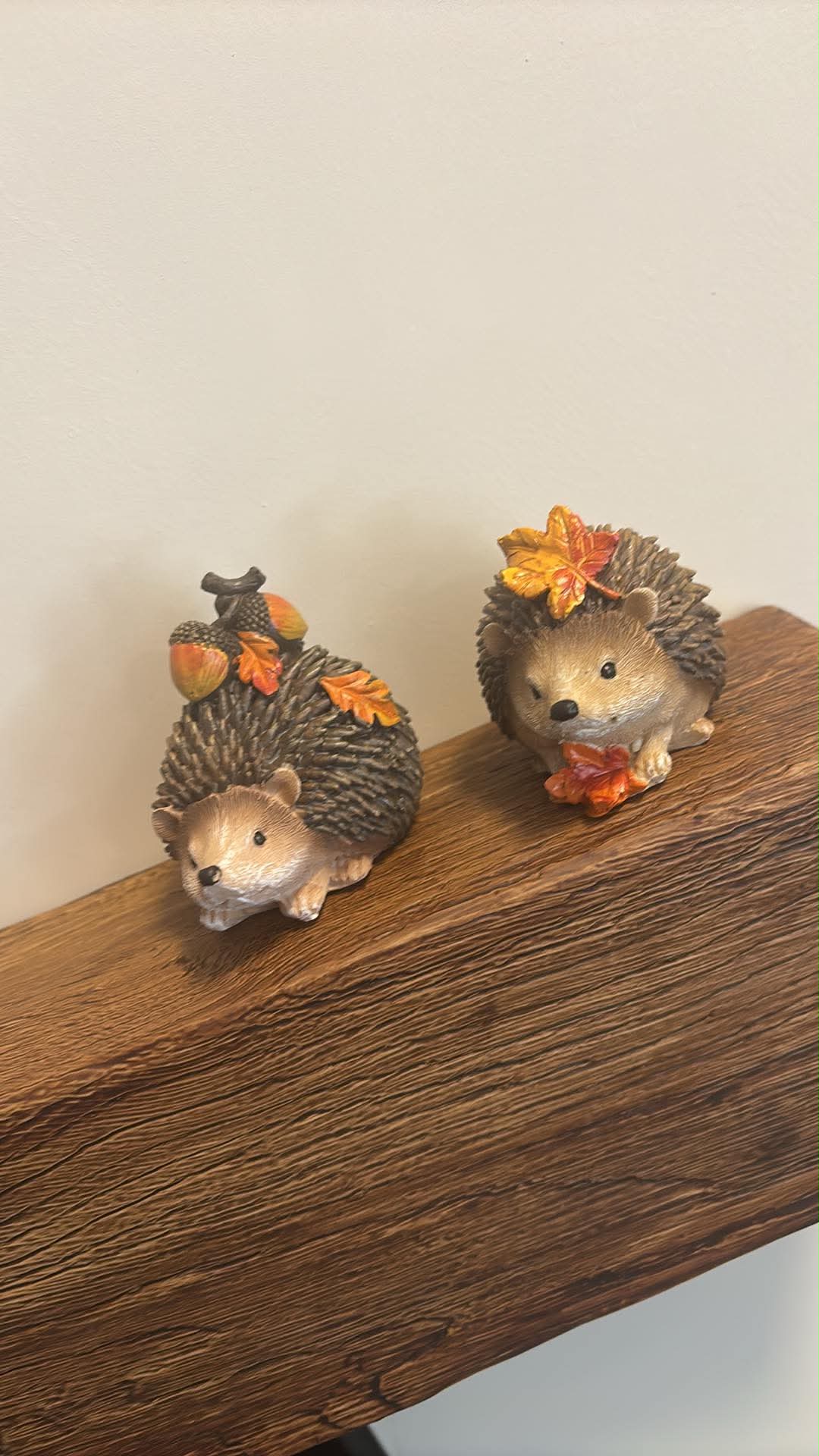 autumn hedgehogs x 2